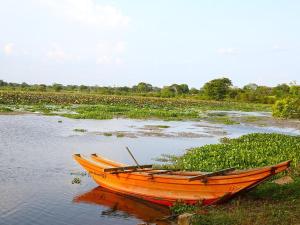 Bestlife Eco Resort Mattala Airport