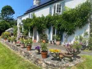 Brentor Self-catering