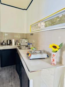 Narra Villas Soft Opening Promo Get Entire Unit