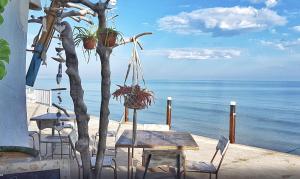 Apartamento las Marinas