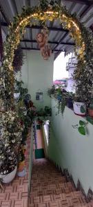 Bungkhim Urban Garden Homestay