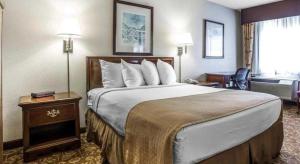 Quality Inn & Suites Minden