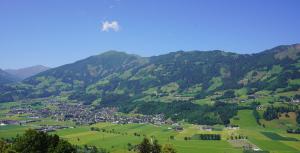 Panorama Nature Lodge