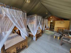 Africa Safari Manyara Escarpment