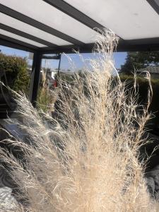 Beach Resort Kamperland - RBR 852