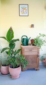 Seaside apartment Motar