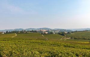 Amazing Home In Castagnole Monferrato