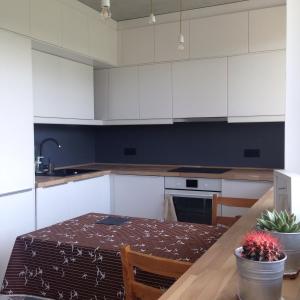 Mieszkanie w stylu Loft