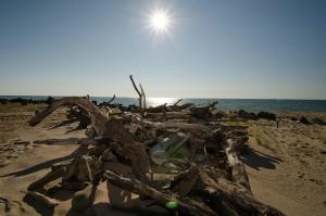 Brennan Beach Lakeview Loft Park Model 6