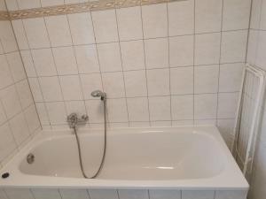 Monteurzimmer und Ferienwohnung bei Leuna, Halle, Leipzig