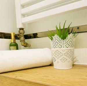 Apartament Zdrojowy Wieniec Zdrój