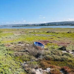 Sound of Silence Apartment