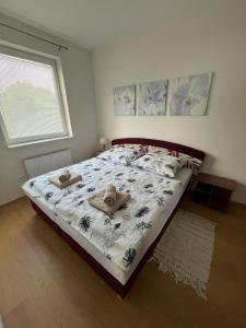 Apartman IRIS Podhajska