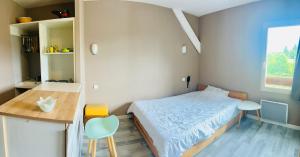 Maisons d'hotes Relais Guinguette : Studio