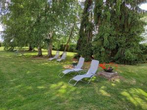 Villas Cosy Pivoine - Magnifique villa sur 3000 m2 arbore avec jacuzzi : photos des chambres
