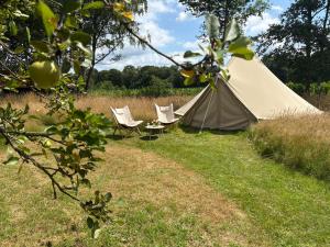 Boutique tent bij Laaken op Zand unieke plek in het groen met luxe bed