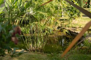 B&B / Chambres d'hotes Le Clos du Chateau : photos des chambres