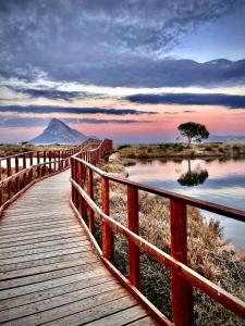 Nautilus Suites & Rooms img53