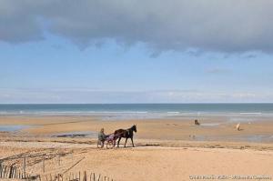 Maisons de vacances Petite maison de pecheur a 300 m de la plage : photos des chambres
