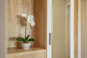 Apartman Kovacevic Hn