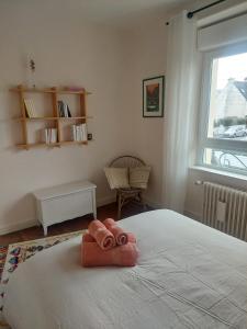 Maisons de vacances Maison Maurice Quimper : photos des chambres