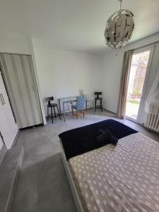Appartements Entre Gare et Centre : photos des chambres
