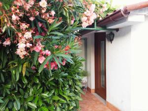 Apartment Vilfanova