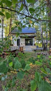 Lobeliowe Zacisze Sominy