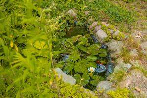 Charming House in the Capital with Two Parking Spaces by Noclegi Renters