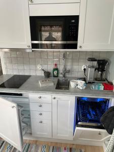 Swedish Tiny House lyxig lillstuga