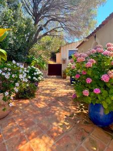 Villas Villa Paomia : photos des chambres