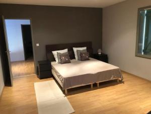 Villas Villa Larrouy : Villa