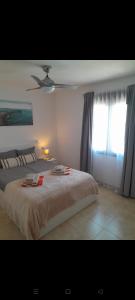 Alice’s Wonderland - Oleza Garden - Pool & garden View