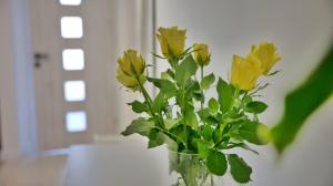 Apartment Ambienta Samobor