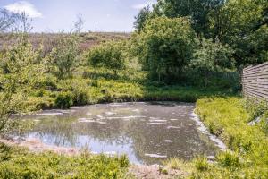 The Chard, Netherby, a micro cabin in a rural setting with a hot tub