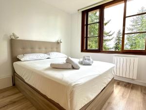 Appartements El niuet de Montana Park, alojamiento en Enveitg : Appartement 2 Chambres