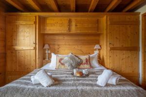 Chalet Elise des Alpes