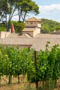 Villas Chateau Saint Martin de La Garrigue : photos des chambres