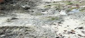 Serene Luxury Seaview Homestay Nyali Msa