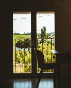Maisons de vacances Le Jardin des vignes : photos des chambres