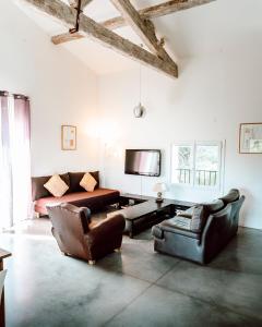 Maisons de vacances Le Jardin des vignes : photos des chambres