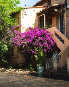 Maisons de vacances Le Jardin des vignes : photos des chambres