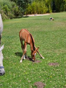 Casa Seahorses b Cottage