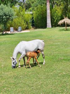 Casa Seahorses b Cottage