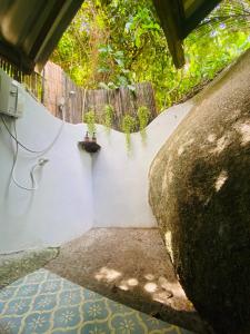 Singing Frogs Jungle Stay