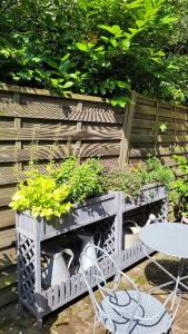 Maisons de vacances Le Jardin des Murmures : photos des chambres