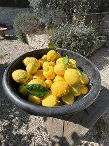 Vacances Bonifacio Bergerie