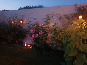 Ideal one bedroom appartment in Naas Oo Kildare