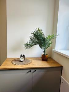 Colorful Apartments G