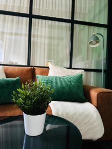 Colorful Apartments G